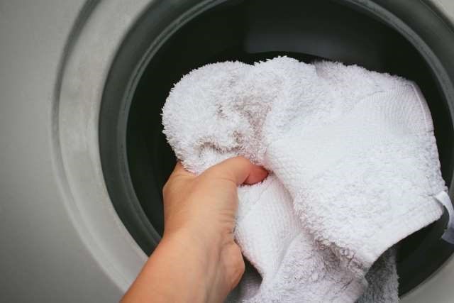 コインランドリーでカビの除去は出来るの 使用時の 4 つの注意点